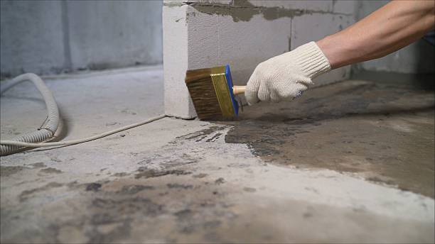 SJ Waterproofing Pros Interior Drainage System coverage map for Ida, MI and surrounding area